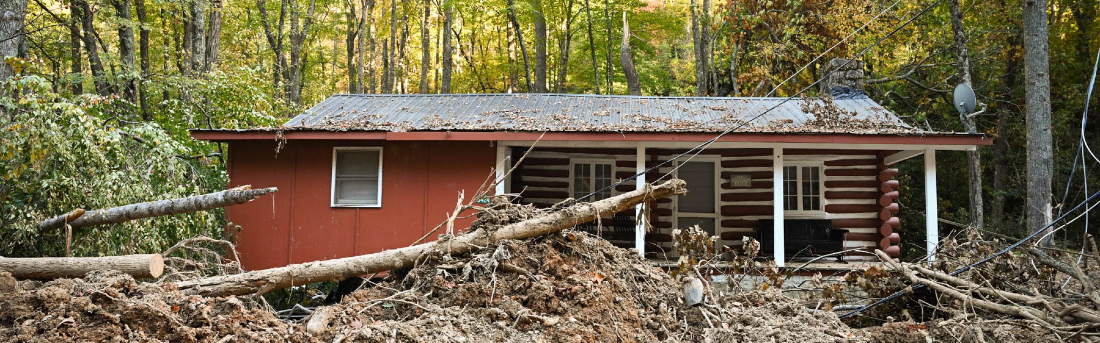 Storm damage and fallen trees blocking access in front of a Northern Wisconsin cabin
