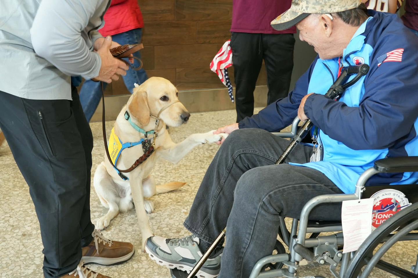 A friendly four-legged welcome.